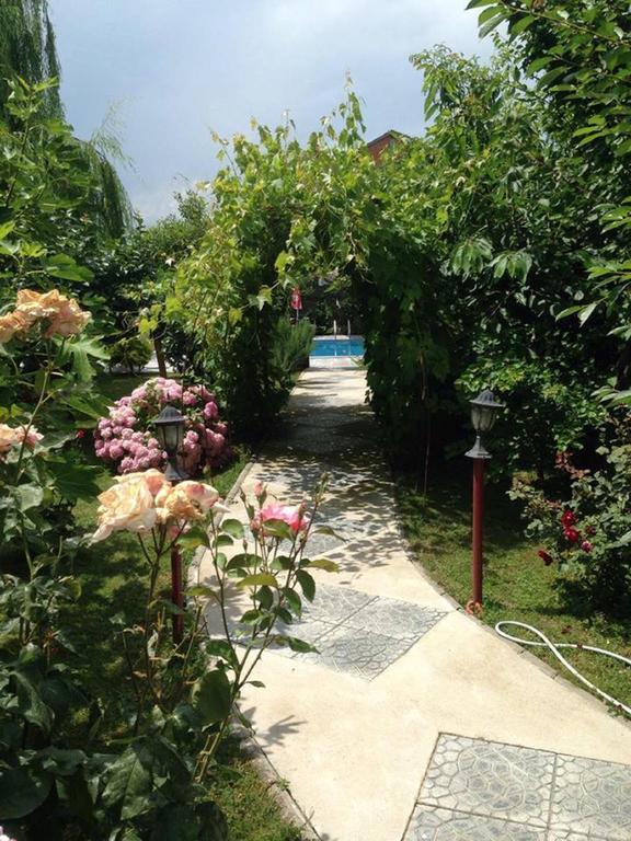 Villa Amsterdam Ohrid Eksteriør bilde