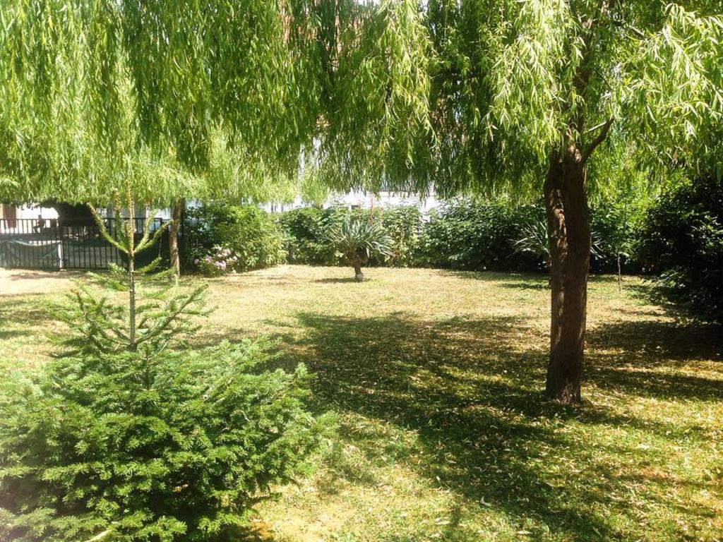 Villa Amsterdam Ohrid Eksteriør bilde