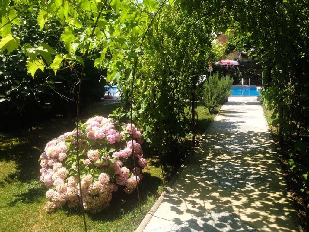 Villa Amsterdam Ohrid Eksteriør bilde